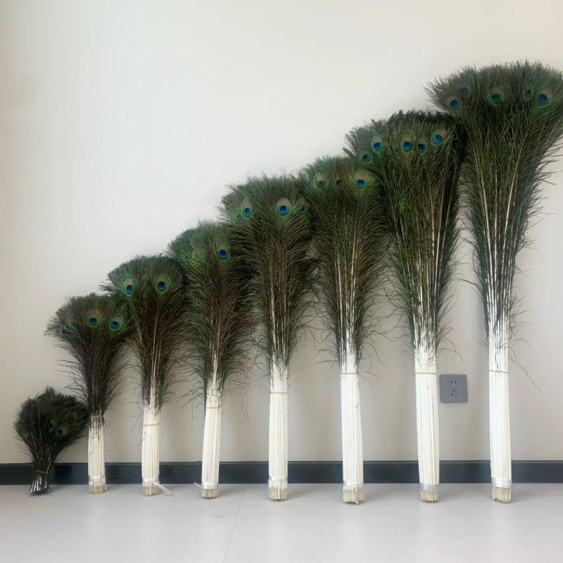 Natural Peacock Fur Wholesale Feather Ornaments Dust Duster Decorative Materials Accessories Clothing Accessories Edge Feather Peacock Real Hair