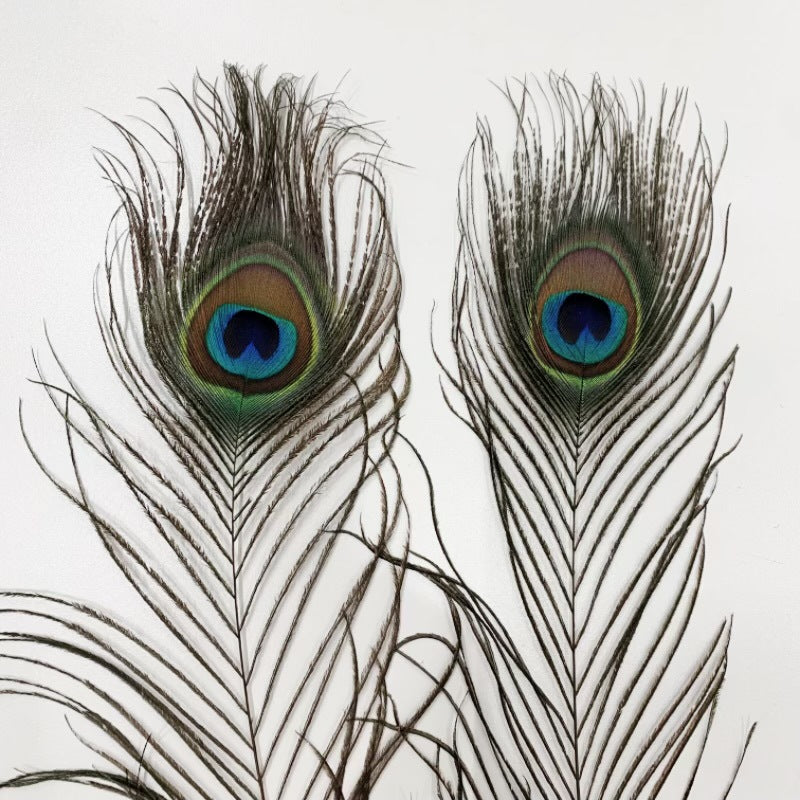 Natural Peacock Fur Wholesale Feather Ornaments Dust Duster Decorative Materials Accessories Clothing Accessories Edge Feather Peacock Real Hair