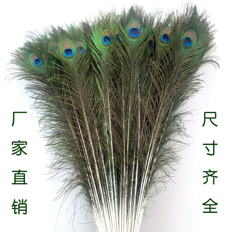 Natural Peacock Fur Wholesale Feather Ornaments Dust Duster Decorative Materials Accessories Clothing Accessories Edge Feather Peacock Real Hair