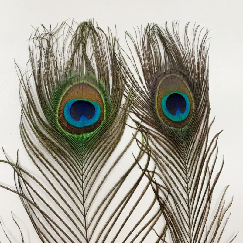 Natural Peacock Fur Wholesale Feather Ornaments Dust Duster Decorative Materials Accessories Clothing Accessories Edge Feather Peacock Real Hair